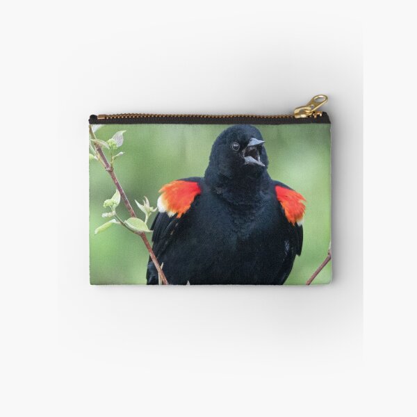 Item preview, Red-Winged Black Bird Singing designed and sold by WorldDesign.