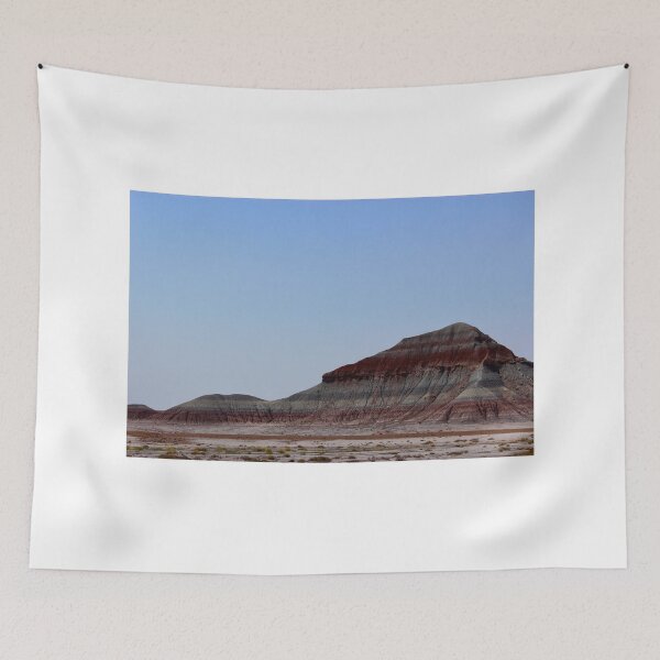 Item preview, petrified forest landscape designed and sold by schuylermdick.