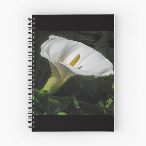 Item preview, Arum lily designed and sold by DPalmer.