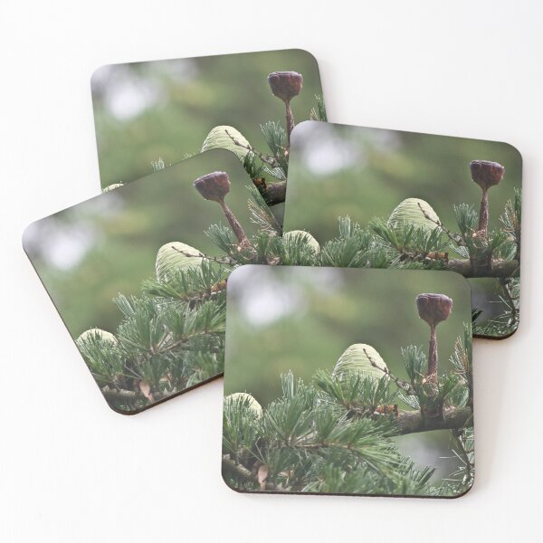 Item preview, The White Pine Cone designed and sold by Marylou Badeaux.