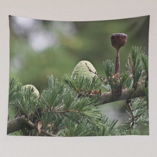 Item preview, The White Pine Cone designed and sold by Marylou Badeaux.