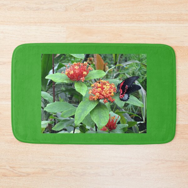 Item preview, Butterfly on Lantana designed and sold by Kathryn Jones.