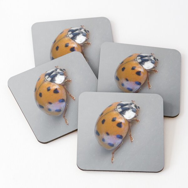 Item preview, ©NS Beetle  Macro IA designed and sold by OmarHernandez.