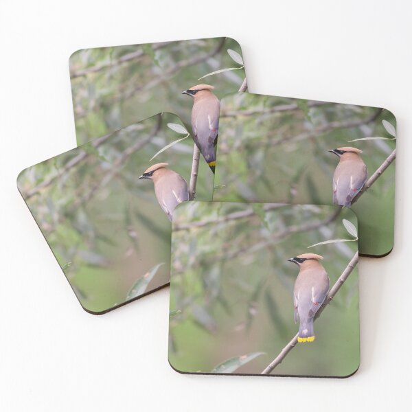 Item preview, Cedar Waxwing 2019-1 designed and sold by Thomasyoung.
