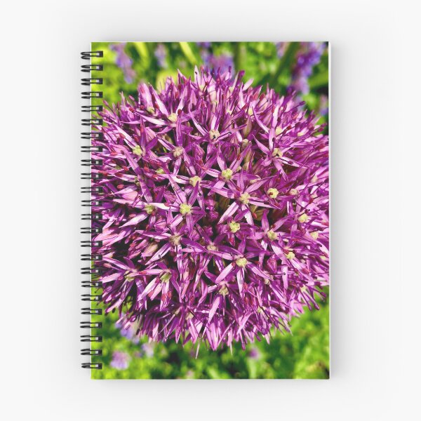 Item preview, giant allium designed and sold by Mandi Collingridge.