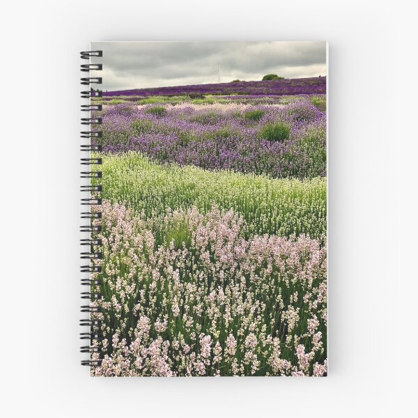 Item preview, Lavender Fields designed and sold by Mandi Collingridge.