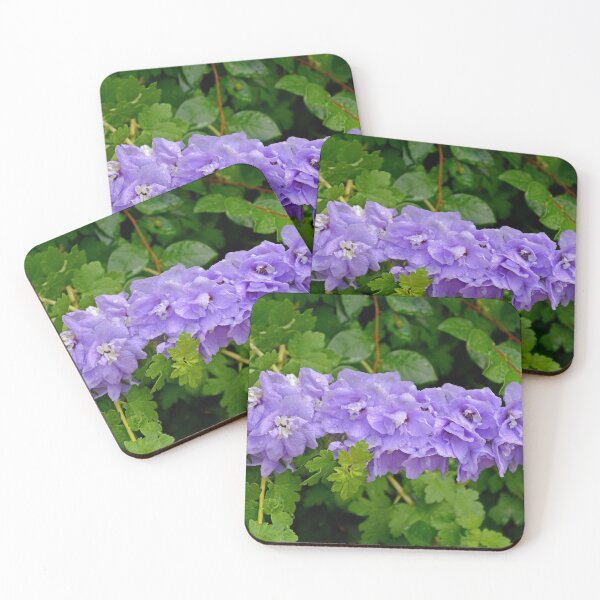 Item preview, Glen Haven Wildflower Study 10  designed and sold by Robert Meyers-Lussier.