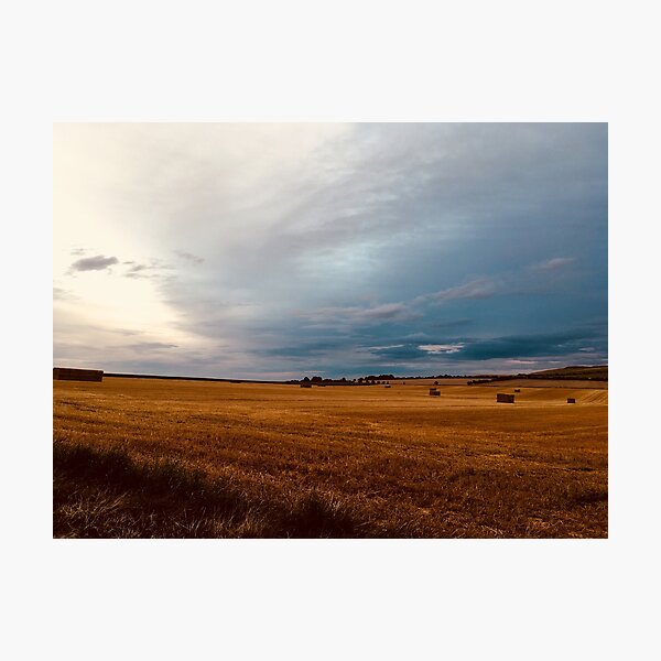hayfield Photographic Print