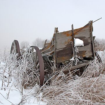 Artwork thumbnail, Wagon in Fog and Snow by jwwalter