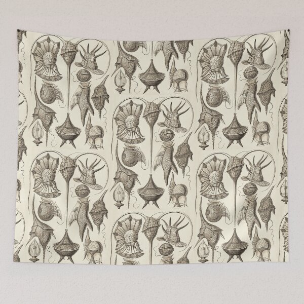 Item preview, Ernst Haeckel Peridinea Plankton Wenge designed and sold by aimeewilson.