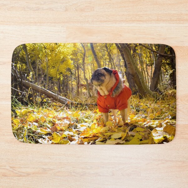 Item preview, Autumn Pug Looking Snug designed and sold by pugventurephoto.