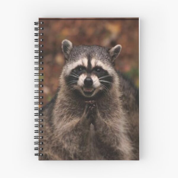 Item preview, Scheming Racoon designed and sold by Verified Jane Bennet.