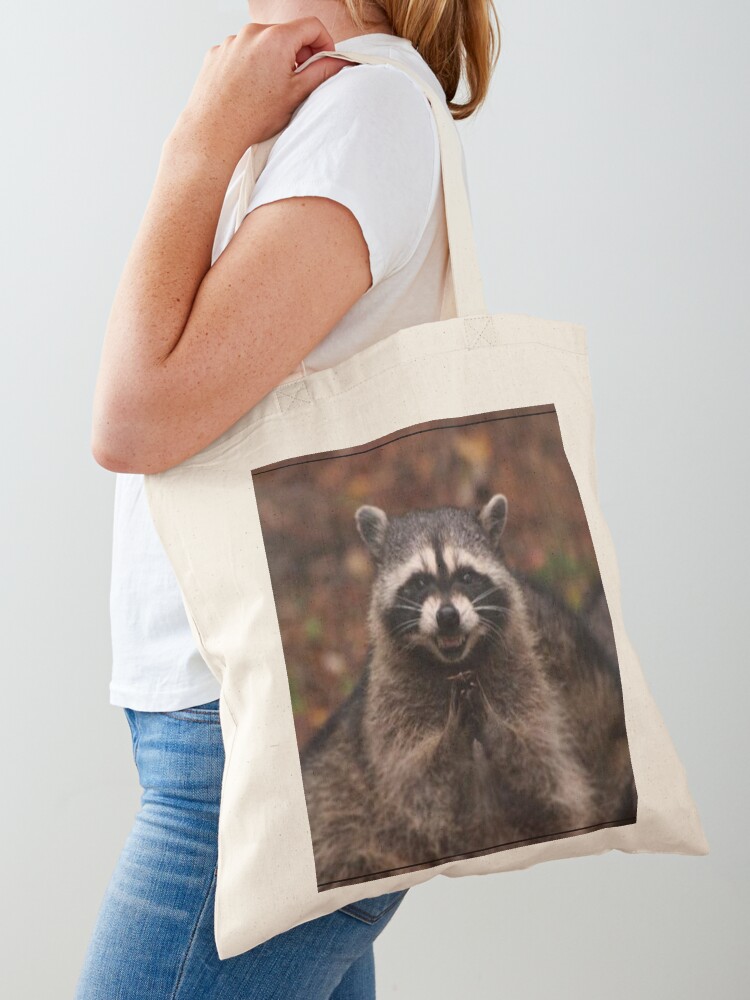 Scheming Racoon