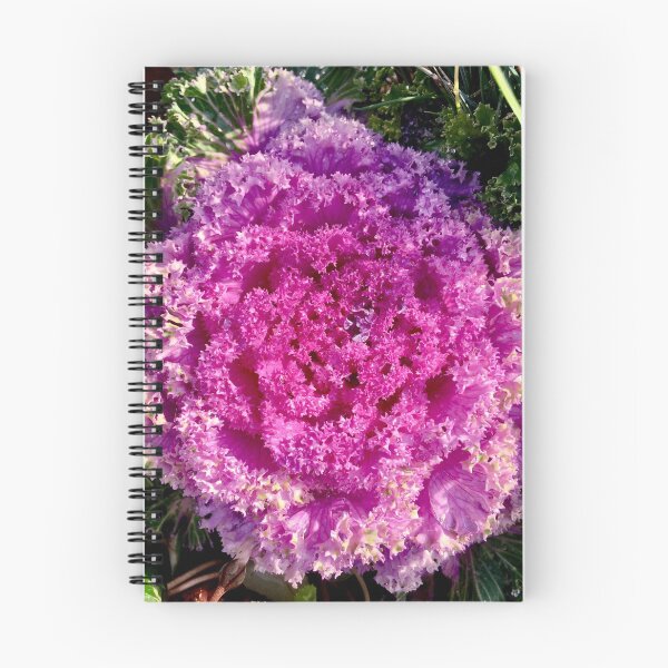 Item preview, Rainy cabbage rose designed and sold by Mandi Collingridge.