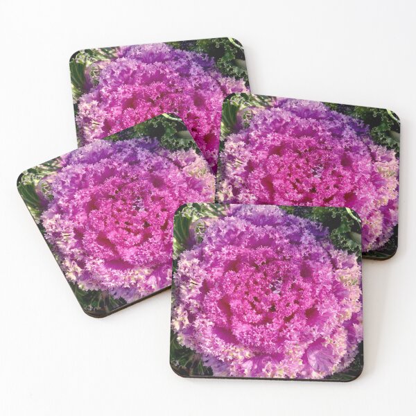 Item preview, Rainy cabbage rose designed and sold by Mandi Collingridge.