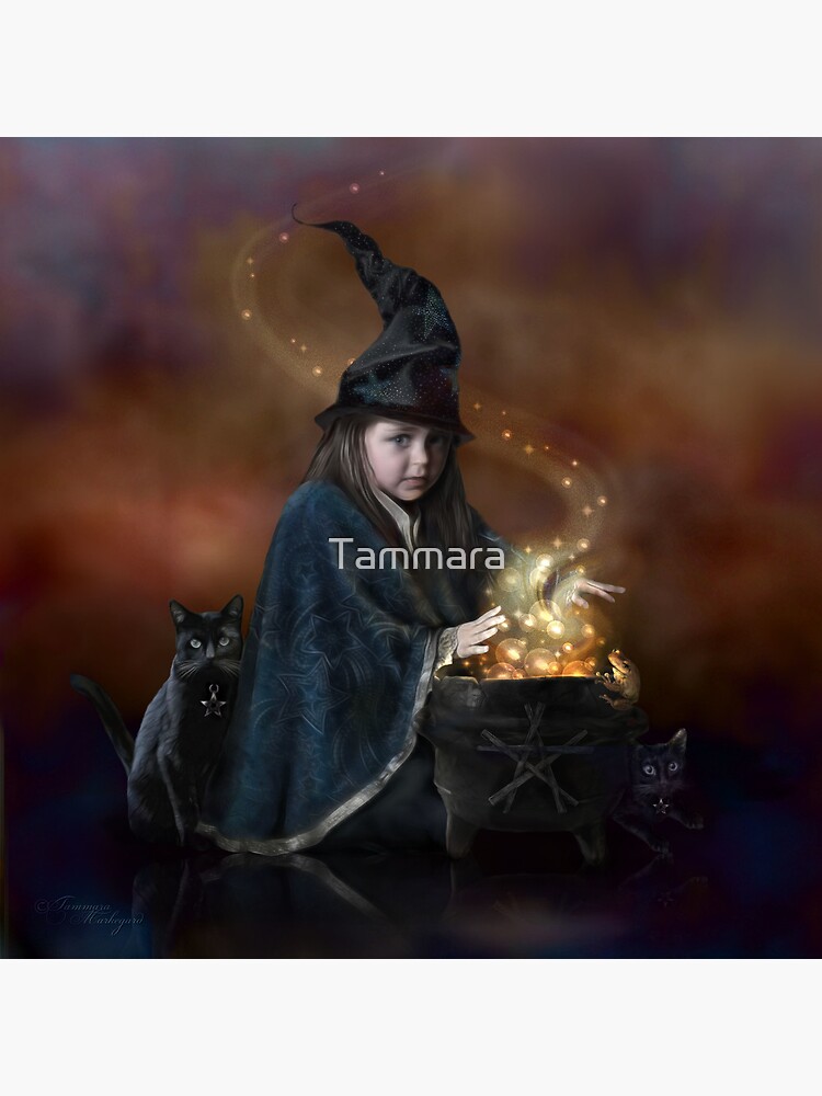 The Little Witch by Tammara
