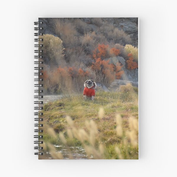 Item preview, Riverside Pug Bundled Up Snug designed and sold by pugventurephoto.