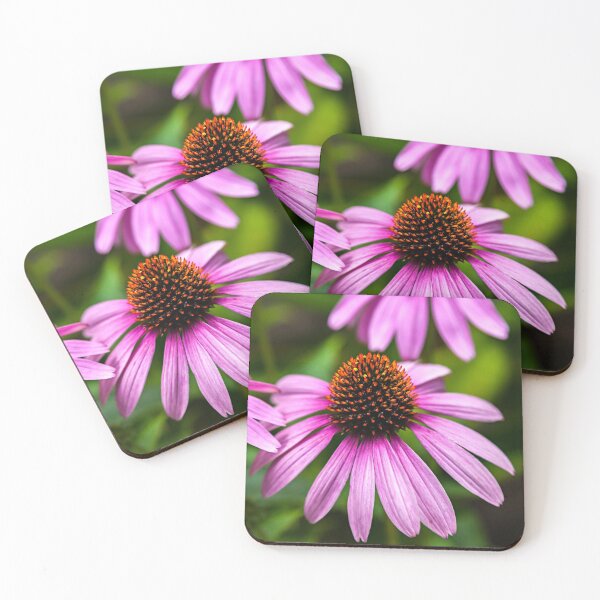 Item preview, Echinacea, Floral, Flower, Iphone Case designed and sold by DAM Creative ⭐⭐⭐⭐⭐.