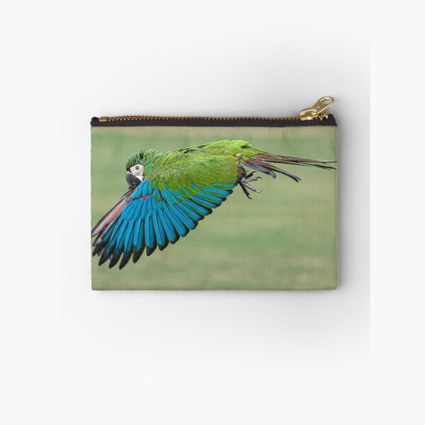 Item preview, Flight of a Severe Macaw I designed and sold by KarenWillshaw.