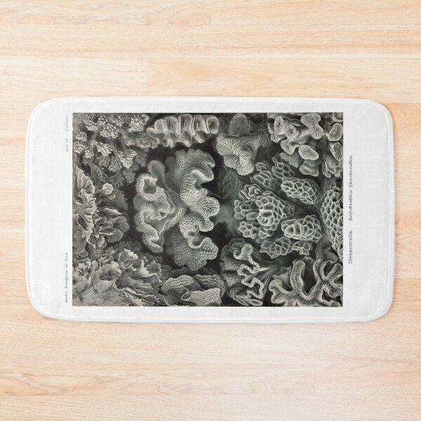 Item preview, Plate 69. Hexacoralla (Hexacorallia), a subclass of corals. designed and sold by Squirrox.