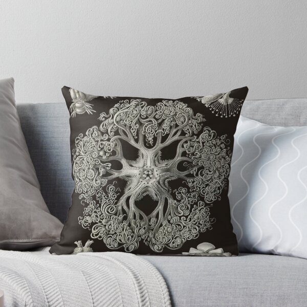 Item preview, Plate 70. Brittle stars shown in various stages of development. designed and sold by Squirrox.