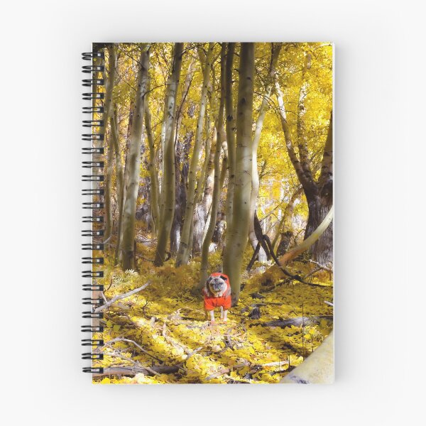 Item preview, Autumn Aspen Grove Pug designed and sold by pugventurephoto.