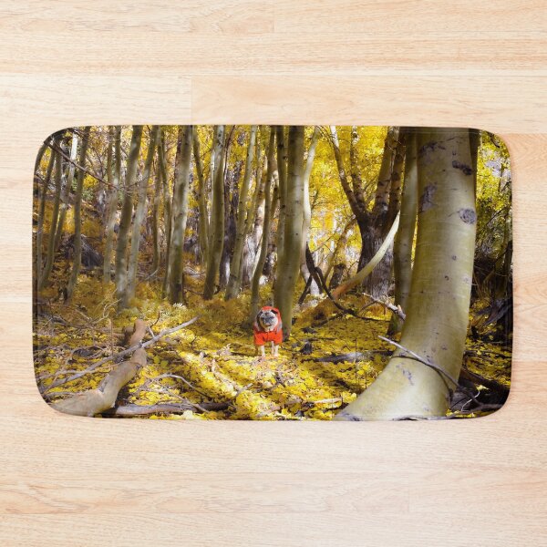 Item preview, Autumn Aspen Grove Pug designed and sold by pugventurephoto.