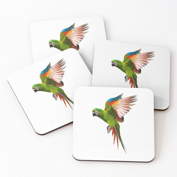 Item preview, Severe Macaw in Flight - Apparel designed and sold by KarenWillshaw.
