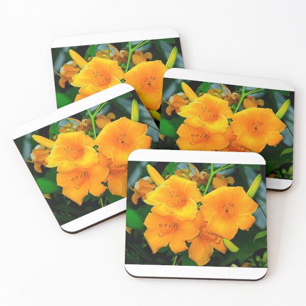 Item preview, Bright and Sassy. designed and sold by Brenda Burnett.