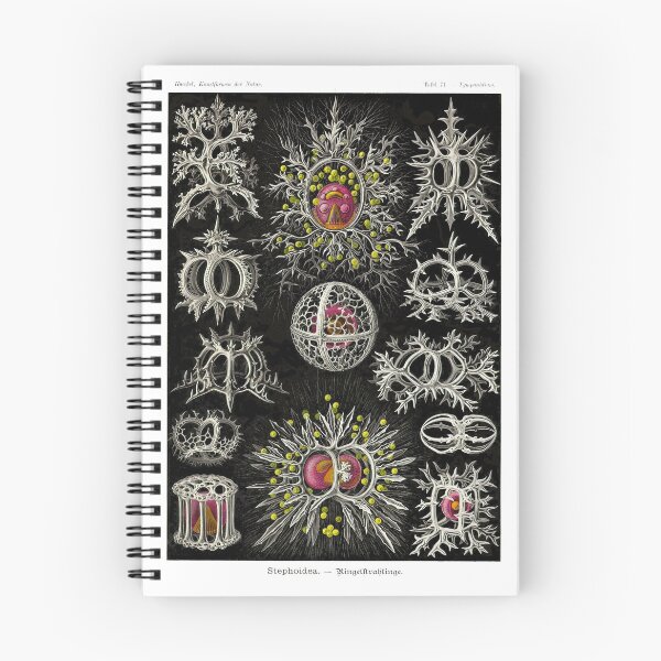 Item preview, Plate 71. Radiolarians (protozoans) that have a skeleton of silica. designed and sold by Squirrox.