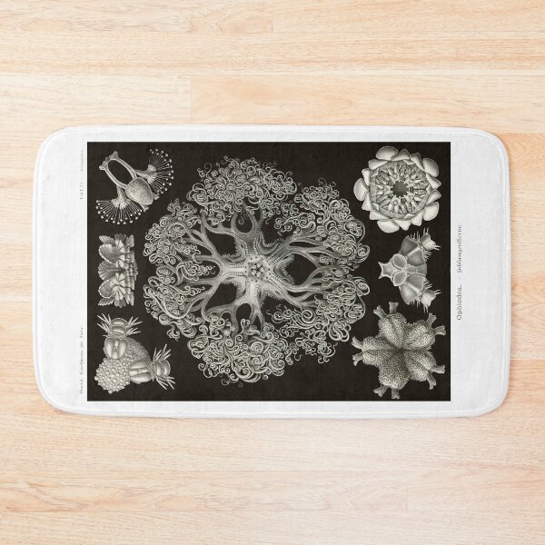 Item preview, Plate 71. Radiolarians (protozoans) that have a skeleton of silica. designed and sold by Squirrox.
