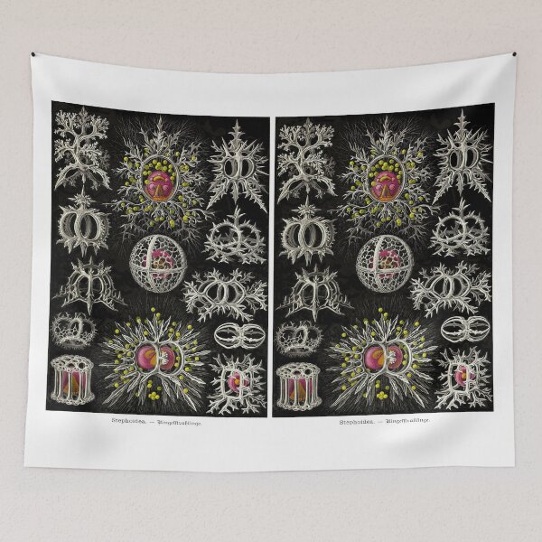 Item preview, Plate 71. Radiolarians (protozoans) that have a skeleton of silica. designed and sold by Squirrox.