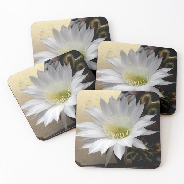 Item preview, ©NS TT Flower IIIA designed and sold by OmarHernandez.