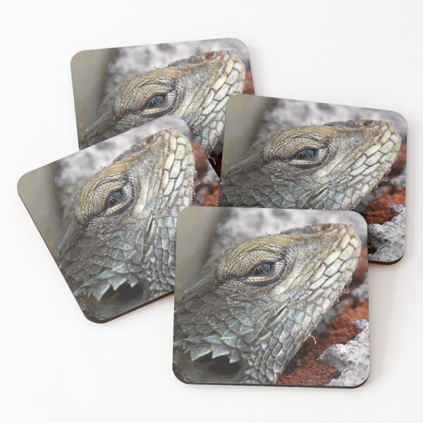 Item preview, ©NS Lizard Portraid IIA designed and sold by OmarHernandez.