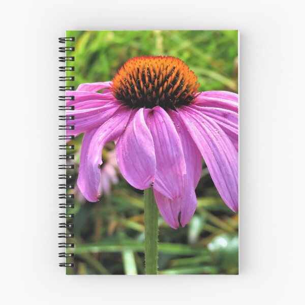 Item preview, Echinacea designed and sold by Lesliebc.