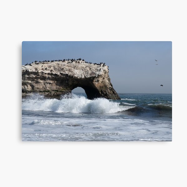 Natural Bridges State Beach Canvas Print