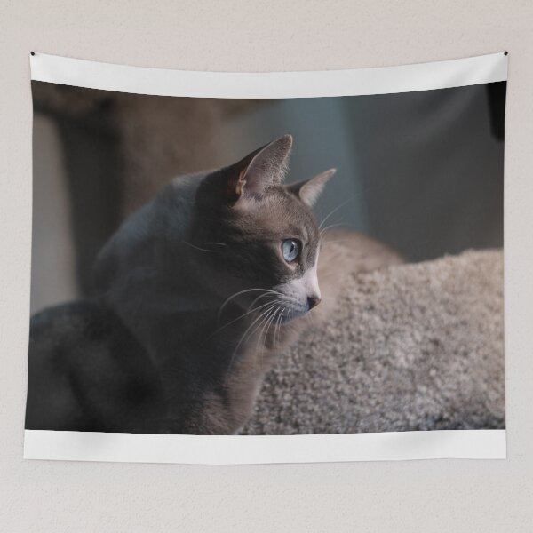 Item preview, Beautiful Cat designed and sold by christinaabken.