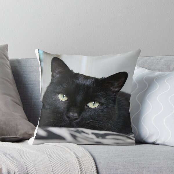 Item preview, Black Cat Stalking designed and sold by AlysiaWalker.