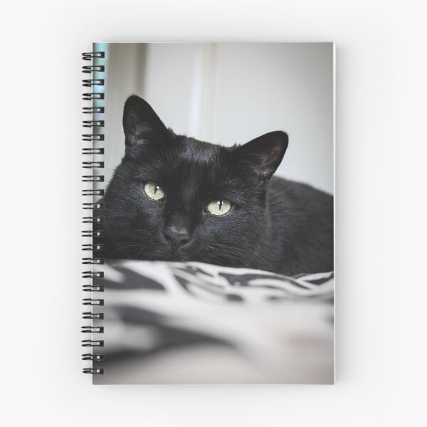 Item preview, Black Cat Stalking designed and sold by AlysiaWalker.