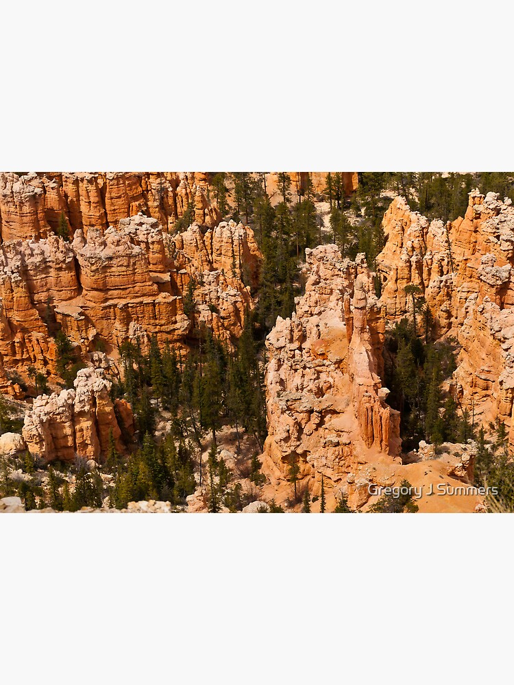 Bryce Canyon Corridors by nikongreg
