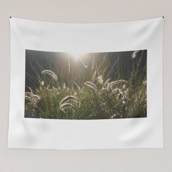 Item preview, Inspiring Home Decor, Zen Photography, Living Room Decor, Cat Tails in Color  designed and sold by visual-samadhi.