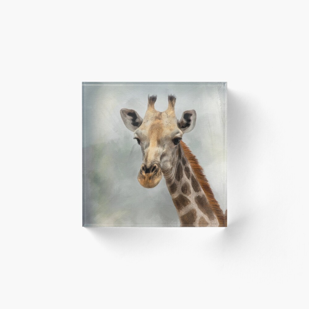 Item preview, Acrylic Block designed and sold by Sabvaning.