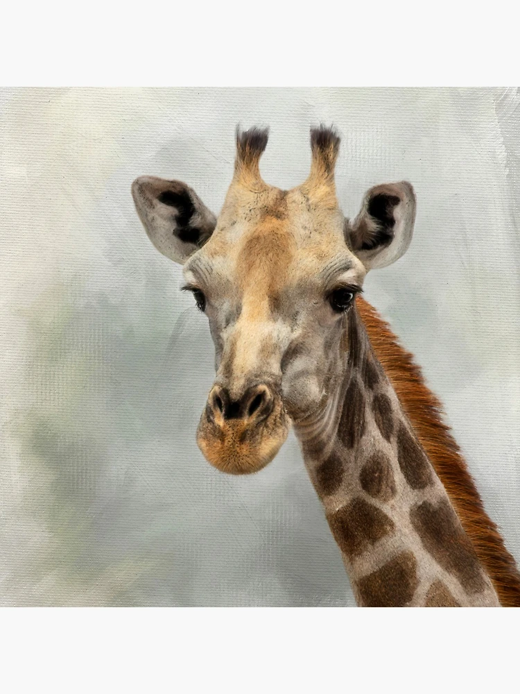 Thumbnail 4 of 4, Clock, Giraffe. designed and sold by Sabvaningphotoart.