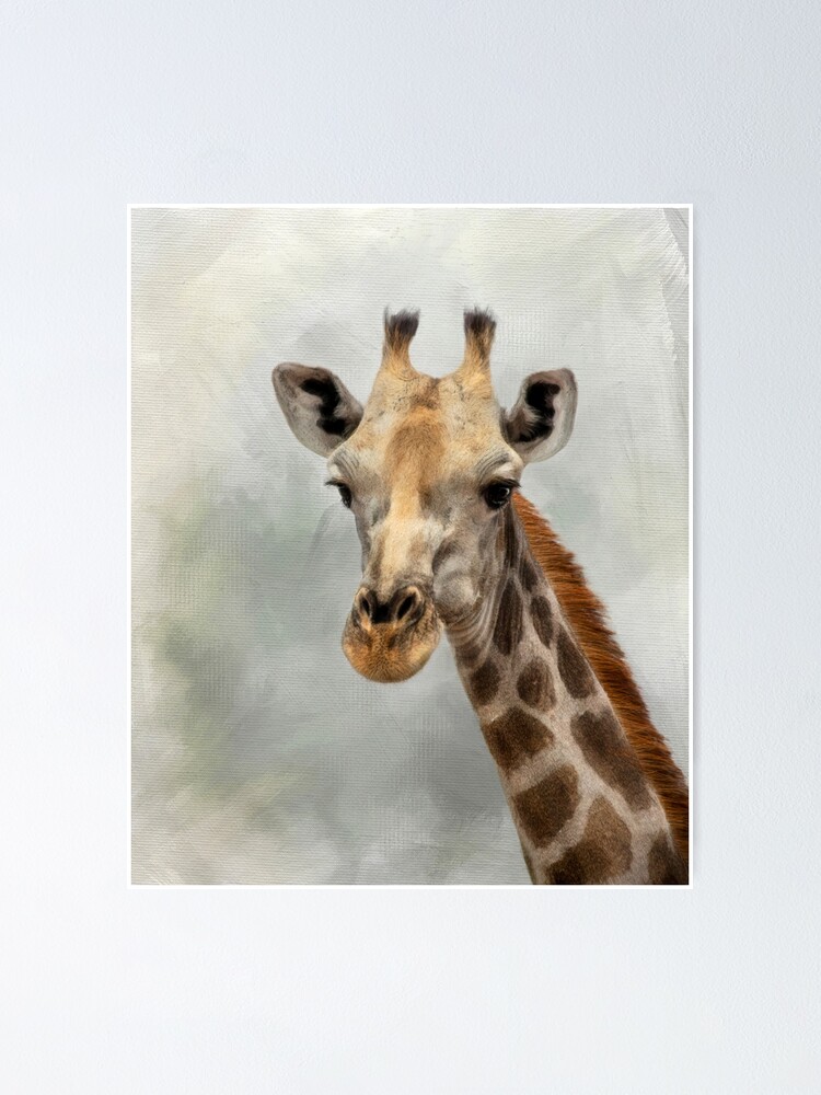 Thumbnail 1 of 3, Poster, Giraffe. designed and sold by Sabvaning.