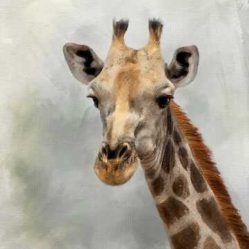 Artwork thumbnail, Giraffe. by Sabvaningphotoart