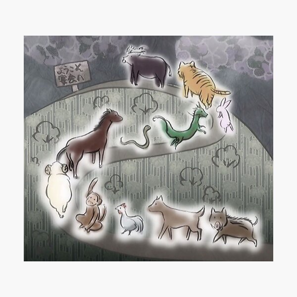 Fruits Basket Zodiac Photographic Print