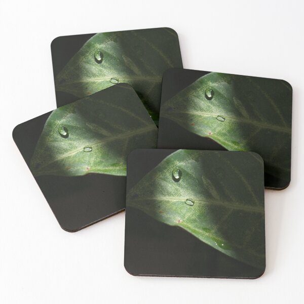 Item preview, Inspiring Home Decor, Zen Photography, Living Room Decor, Dark Leaf designed and sold by visual-samadhi.