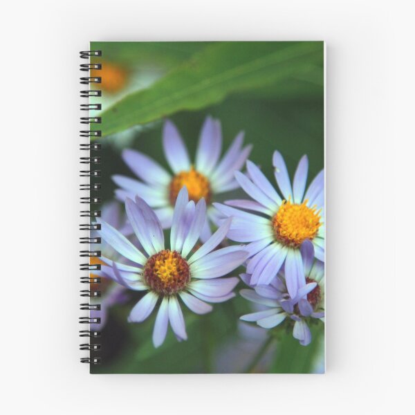 Artikelvorschau, Wilde Blumen in Idaho. entworfen und verkauft von MissMimi63.