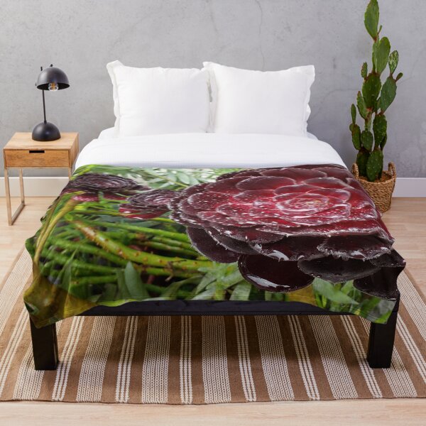 Item preview, Maroon Bloom designed and sold by Cactu-Art.