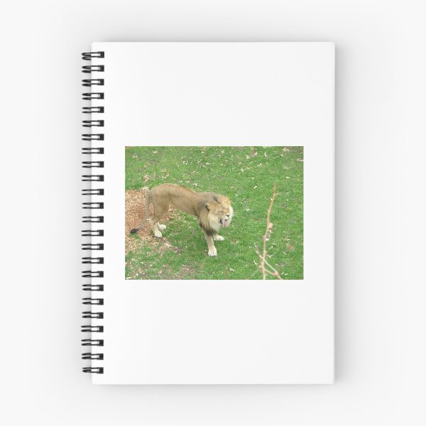 Item preview, Yawning Lion designed and sold by roguefaerie.